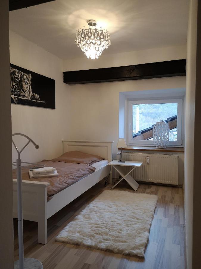 Apartment Direkt An Der Waldnaab Neustadt an der Waldnaab Exteriör bild