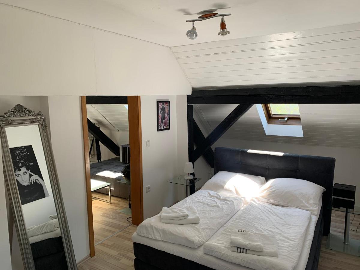 Apartment Direkt An Der Waldnaab Neustadt an der Waldnaab Exteriör bild