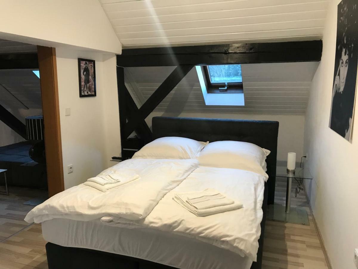 Apartment Direkt An Der Waldnaab Neustadt an der Waldnaab Exteriör bild